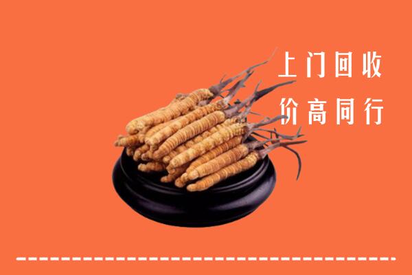 伊春市回收冬虫夏草
