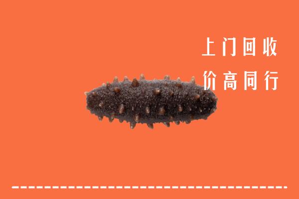 高价求购：伊春市回收海参