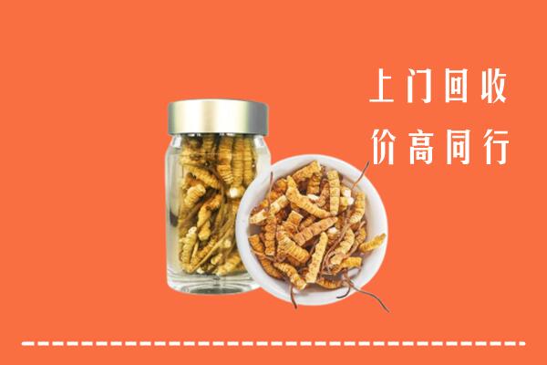 伊春市回收冬虫夏草