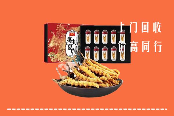 伊春市回收虫草